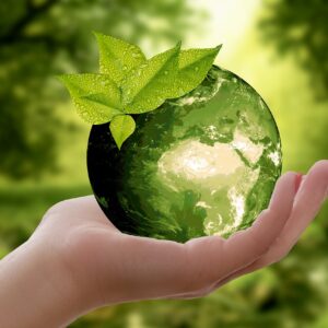 nature, earth, sustainability-3289812.jpg