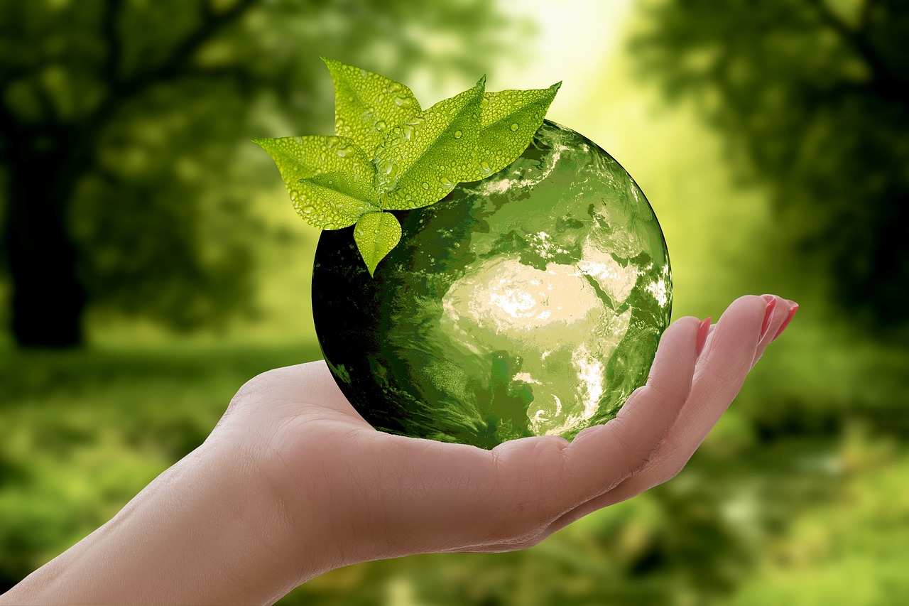 nature, earth, sustainability-3289812.jpg